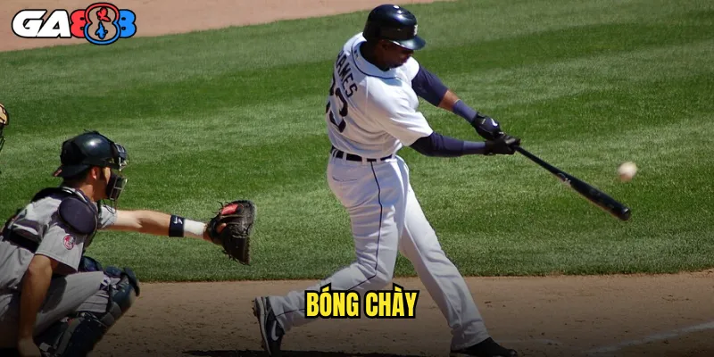 Cược Bóng Chày ga888 Giải Bóng Chày Nhà Nghề Đỉnh Cao 1 Bóng Chày