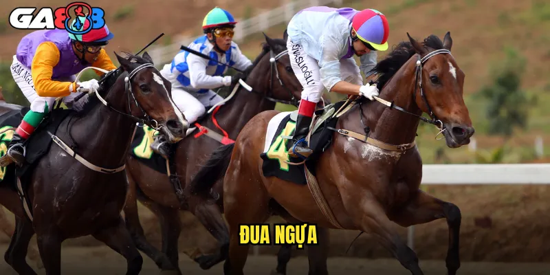 Cá Cược Đua Ngựa ga888 Giải Derby Và Các Giải Danh Giá 1 Đua Ngựa