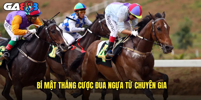 Cá Cược Đua Ngựa ga888 Giải Derby Và Các Giải Danh Giá 3 Bí Mật Thắng Cược Đua Ngựa Từ Chuyên Gia