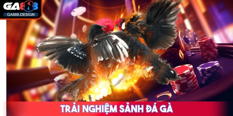 GA888 116QC2Z - NHÀ CÁI GA 888 - TRANG CHỦ CÁ CƯỢC CASINO TRỰC TUYẾN SỐ 1 29 Trải nghiệm sảnh Đá Gà